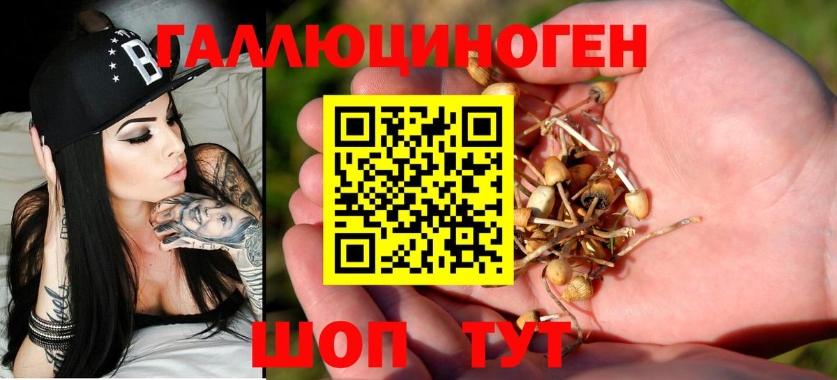 Галлюциногенные грибы GOLDEN TEACHER Сафоново