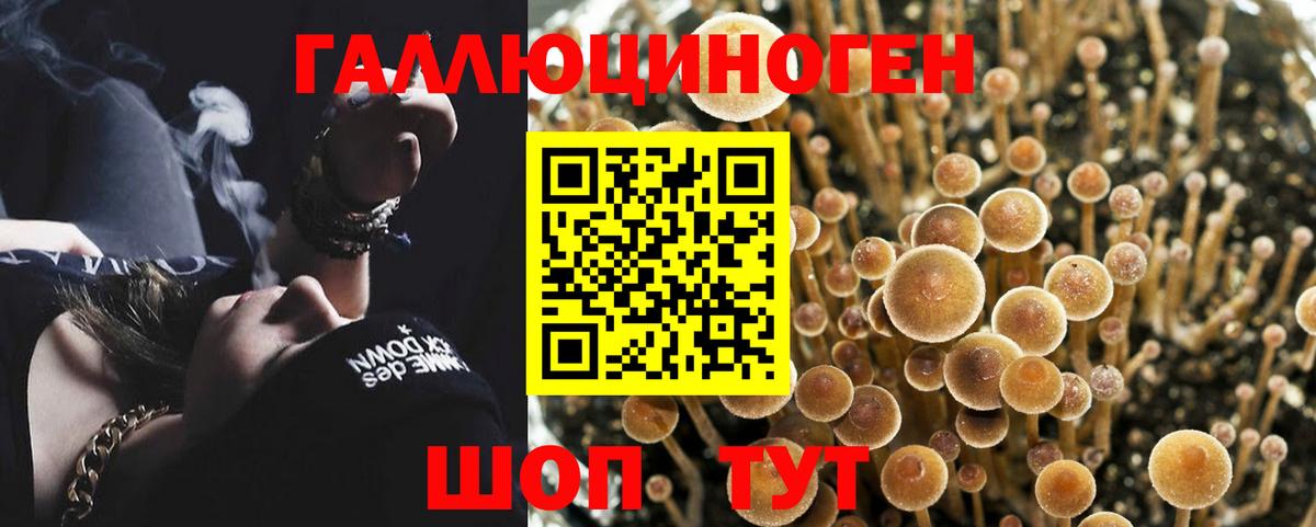 Псилоцибиновые грибы GOLDEN TEACHER  Вход с VPN  Галлюциногенные грибы MAGIC MUSHROOMS  Сафоново 